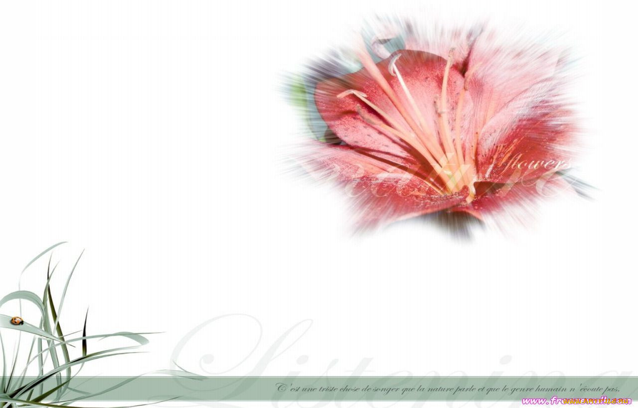 , desktop, decor